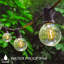 Amaaya Indoor / Outdoor 27 - Bulb 1520 cm Plug-in LED Globe String Light