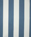 Blue/White