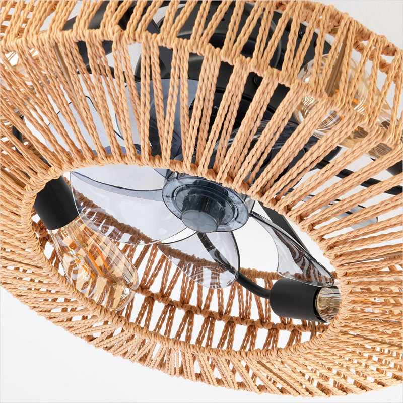 Ventilateur de plafond à télécommande en noir mat, 20 po, avec flux d'air saisonnier, moteur à courant continu, éclairage DEL