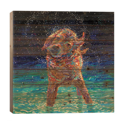 " Moonlight Swim "