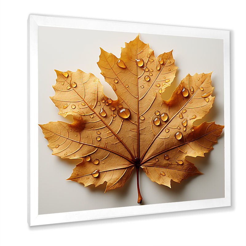 Feuilles brunes réduction roussâtre I, Cadre simple blanc, H 30 po x l 30 po x P 1 po