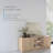 OVE Decors Albert 61" Modern Media Console in Light Oak