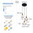 3 Light Dimmable Transparent Glass Pendant Light