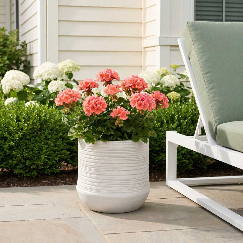 Canella Ceramic Pot Planter