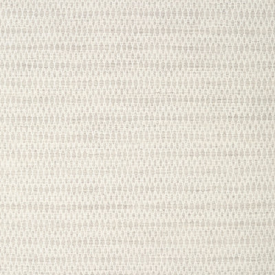 Indoor Rug