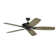 60'' Ceiling Fan