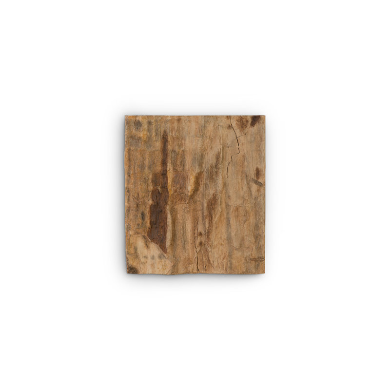Cast Naturals Wall Décor