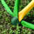 Vert / Jaune est en rupture de stock
