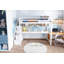 Bunk Bed Bed Frame