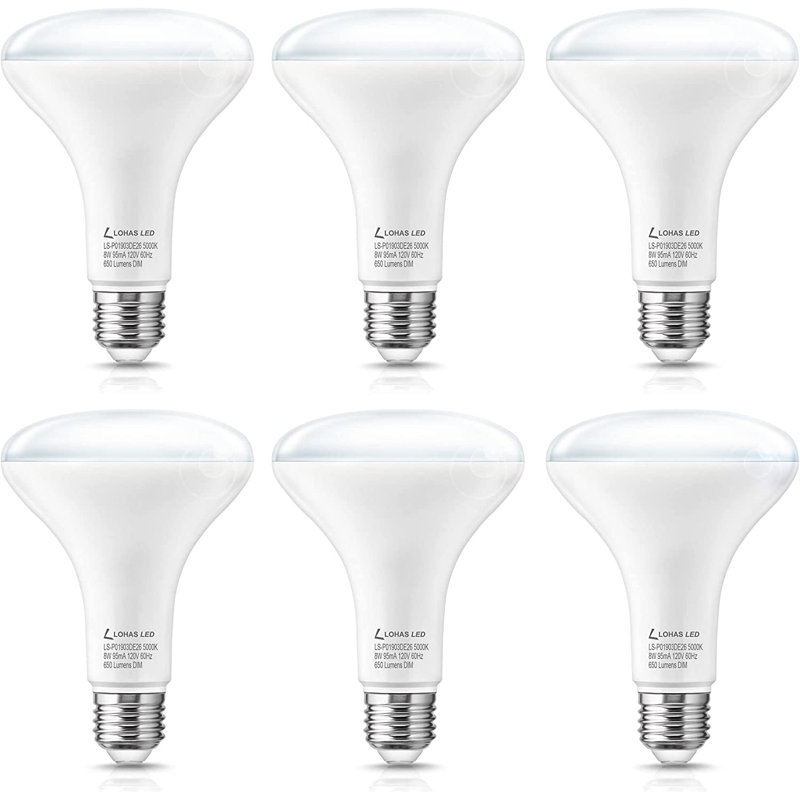 Ampoule à DEL BR30 à intensité variable de 8 watts, culot E26 / moyen (standard)