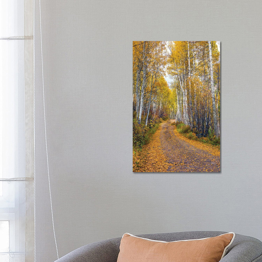 Herbst in Aspen Colorado von Susanne Kremer - Galerie-verpackte Leinwand Giclée auf Leinwand