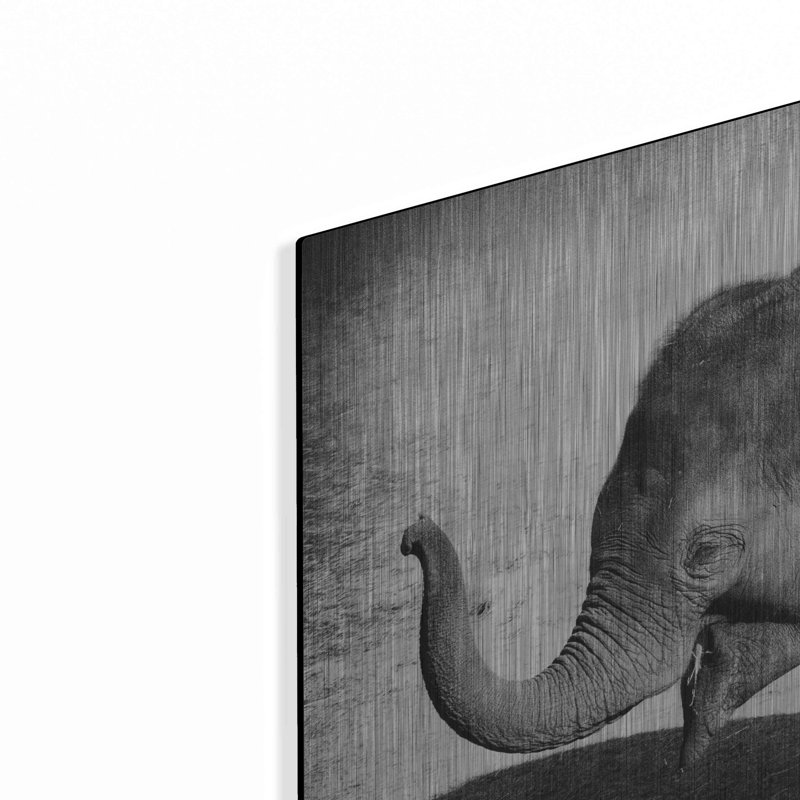 Latitude Run® «Elephant IV» par Debra Van Swearingen, art mural en métal, H 24 po x l 24 po
