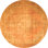 Celeta Oriental Indoor Rug
