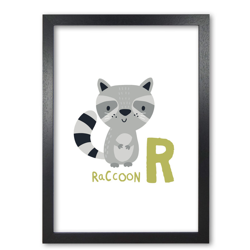 Alphabet Animals, R Is For Raccoon - Print, Black Grain Frame, 30 cm H x 21 cm W x 5 cm D