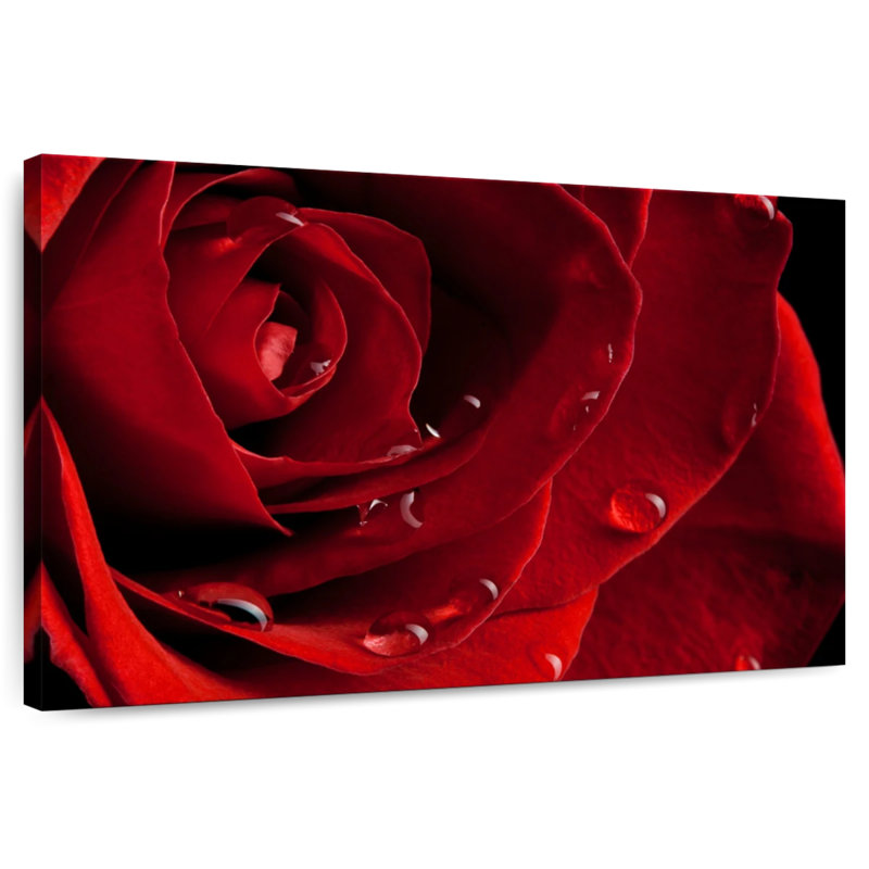 Rose rouge Harnek, H 8 po x l 12 po