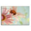 «Daisy Days» par Judy Stalus-2071744127