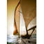 Sunset Sail III Print by Sofia Fox-26939488-26939490