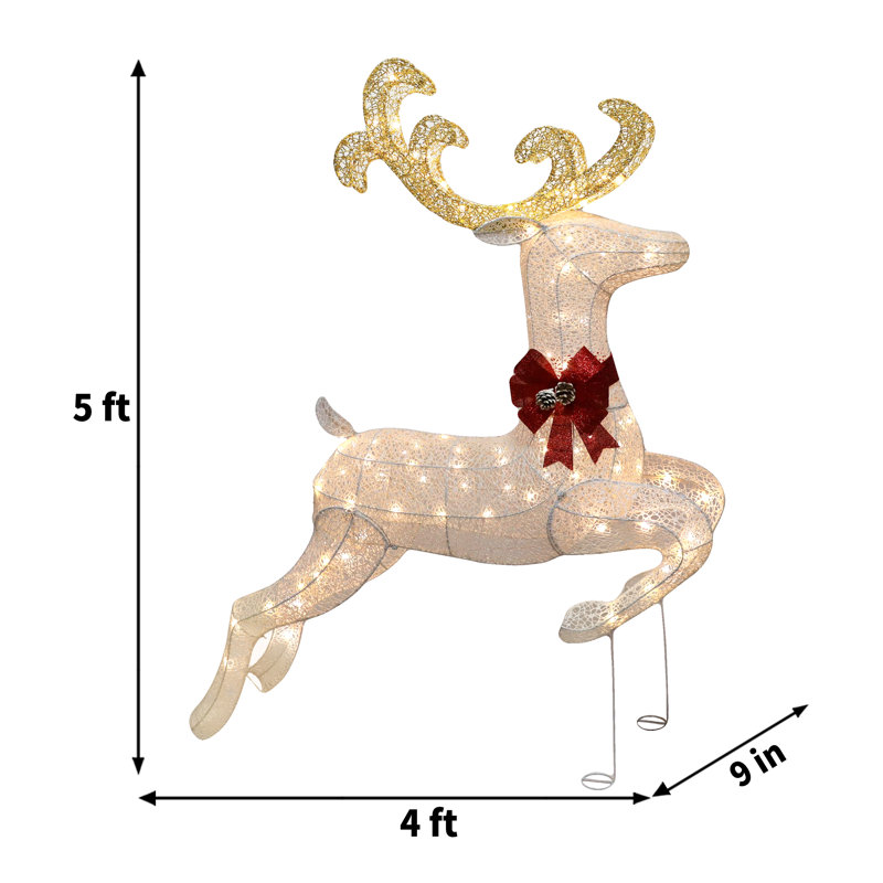 Présentoir Buck Buck
