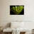 Green Boa Constrictor-107922363