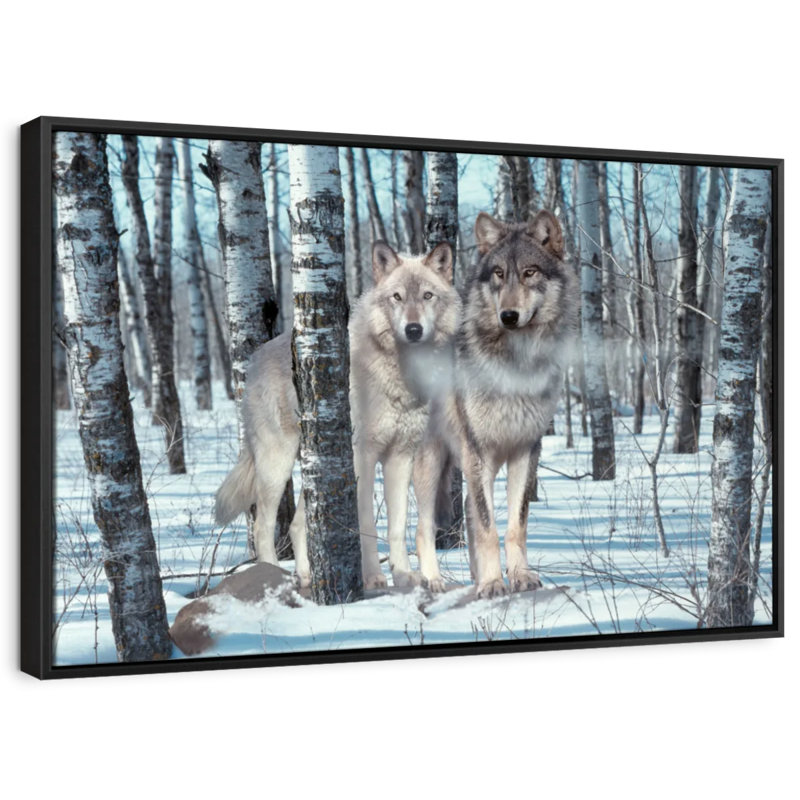 Impression sur toile Snow Shadows, H 9 po x l 13 po