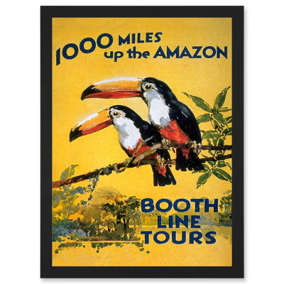 Amazon River Toucan Brazil Forest Vintage Travel Advert Artwork Framed A3 Wall Art Print