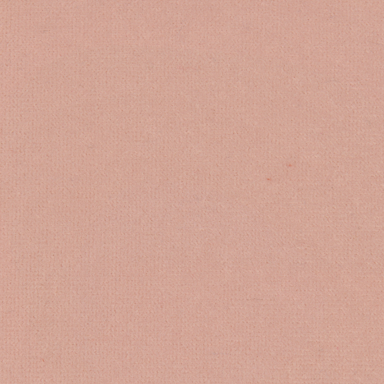 Tilly Upholstered Headboard, California King, Classic Blush Performance Velvet