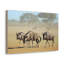 «Wildebeest Group Wildebeest Troop», impression sur toile-740539481