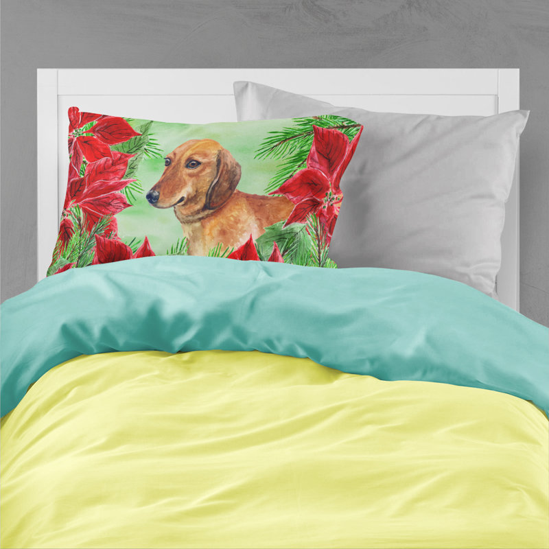 Microfiber, Dachshund