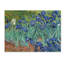 «Irises 1889» par Vincent van Gogh - reproduction-641669909-641669928-653021670