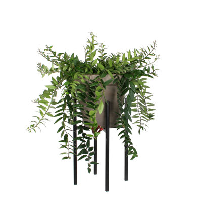 Edmon 6.3" Metal Plant Stand
