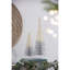 Ombre BB Tree - Set of 2 - 7.5" x 7.5" x 23.6" - White/Silver