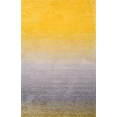 Ombre Hand Woven Shag Area Rug