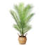 Annegreet Faux Plant-272877225