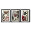Coral & Seaweed Montage I - Impression sur mesure encadrée de qualité supérieure - 3 pièces-1656195426-1656195427