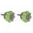 Menthe
