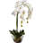 Orchid Arrangement in Vase