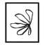 «Line Dessin Collection Petals» encadré sur papier par Leah Straatsma, reproduction-93750082-93750098