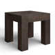 Adams Reclaimed Wood End Table
