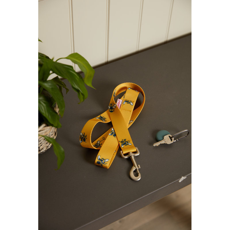 Busy Bee Printed Pet Lead L