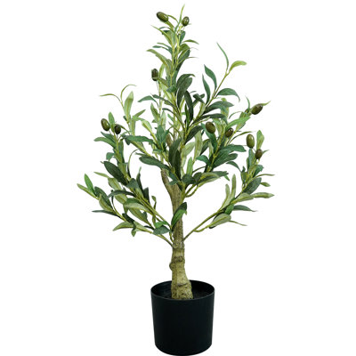 Olive artificielle 2 pi