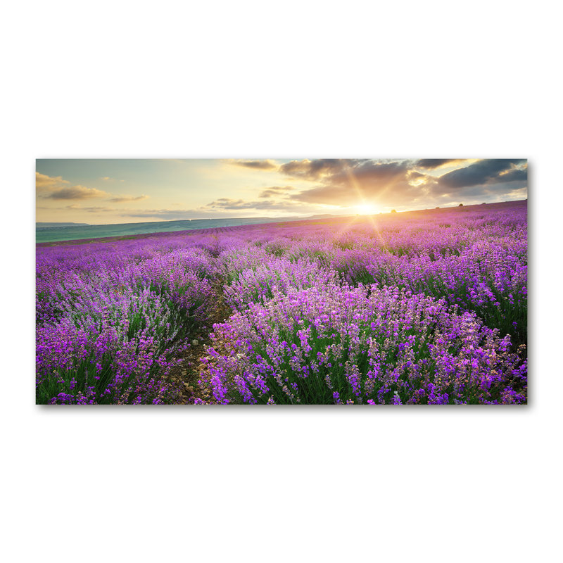 Lavender Field - Wrapped Canvas Print