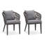Chaises de salle à manger de patio PURPLE LEAF 2 pièces, chaises d'extérieur en rotin PE avec structure en aluminium, coussins et 2 coussins de dossier