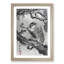 Birds with an Owl by Kawanabe Kyosai - Picture Frame Painting Print-55512366-55512367