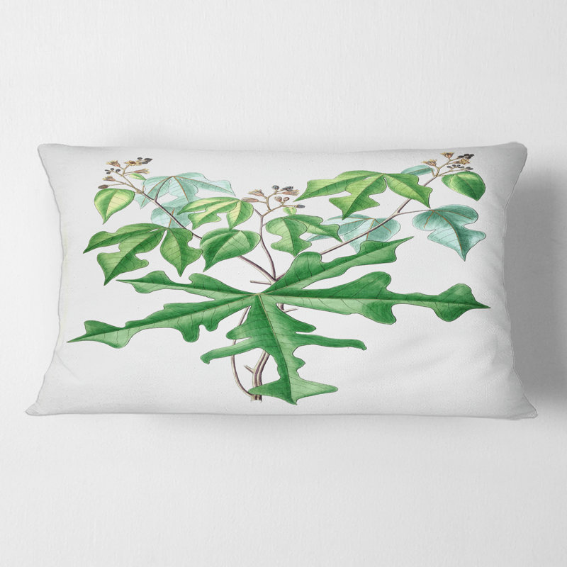 Rectangle, dessin rétro de plantes sauvages - coussin décoratif traditionnel