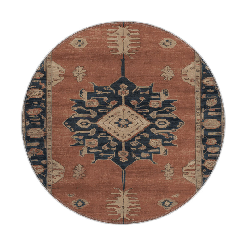 Tapis intérieur et extérieur brun Overdyed, Rond 5 pi