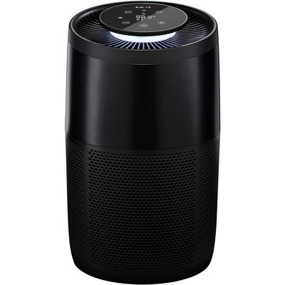 Purificateur d'air instantané instantané avec véritable HEPA Instant Pot