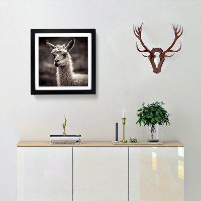 Llama Photograph - Single Picture Frame Print on Wood