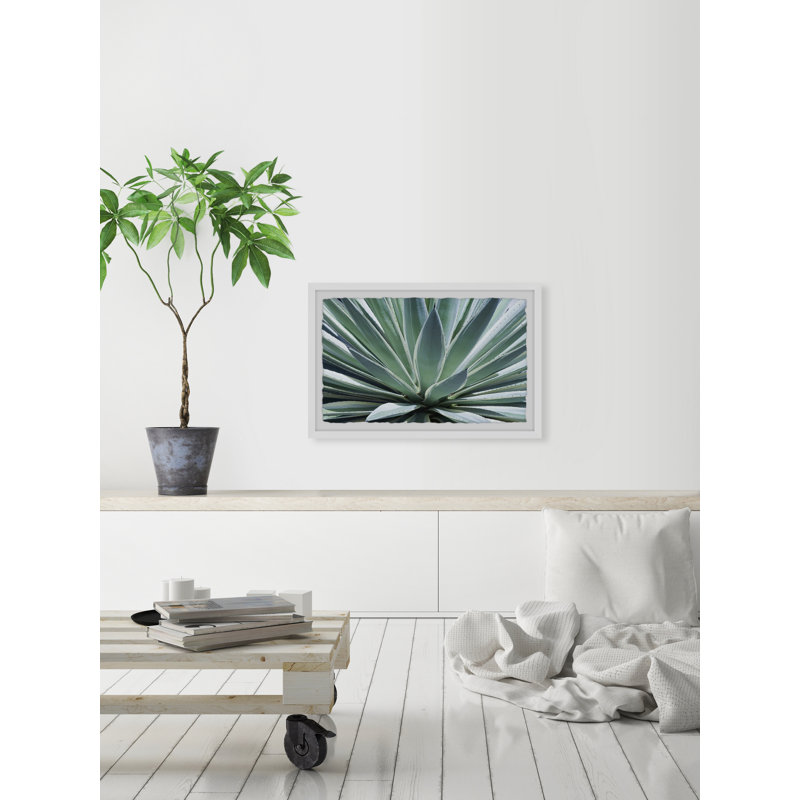 Gorgeous Agave 1 Piece Single Picture Frame Painting, 20 cm H x 30 cm W