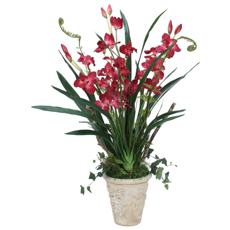 Plante orchidée en pot