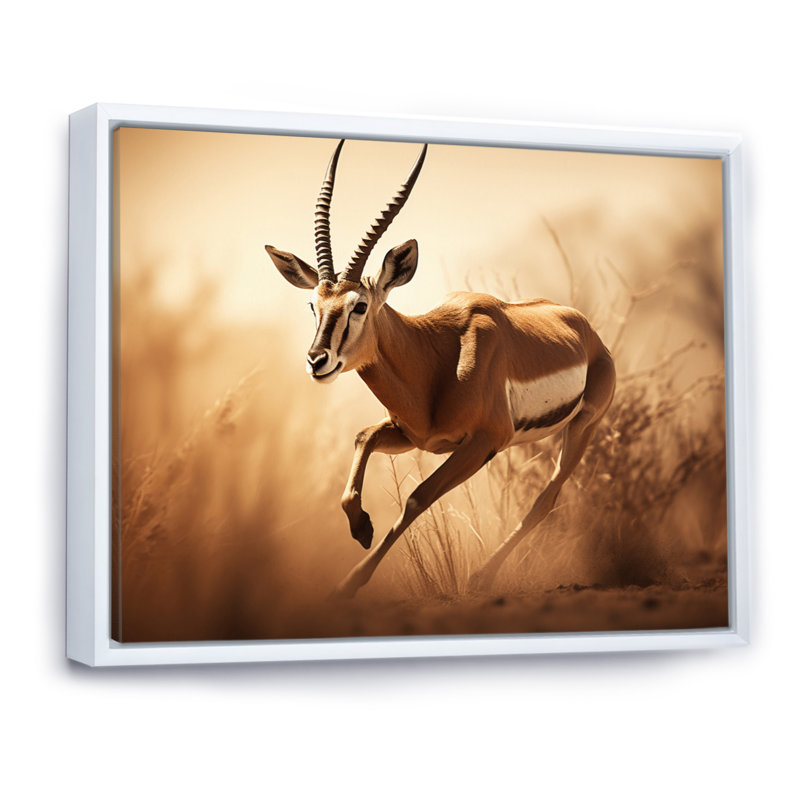 Afrique Gazelles Grace - décoration murale animaux, H 34 po x l 44 po x P 1,5 po, Cadre flottant blanc